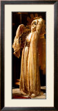 Light of the Harem