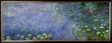 Waterlilies II