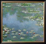 Waterlilies