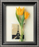 Buy Tulip, Euro-Floral at AllPosters.com