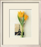 Buy Tulip, Euro-Floral at AllPosters.com