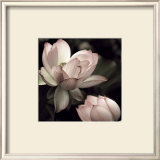 Buy The Lotus II at AllPosters.com