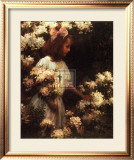 Buy Garden Walk at AllPosters.com