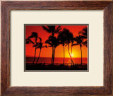 Buy Hawaiian Sunset at AllPosters.com