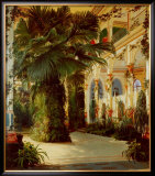 Interior of a Palm House