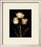 Buy Prelude I at AllPosters.com