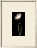 Buy Grace I at AllPosters.com