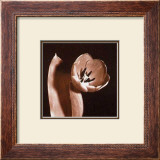 Open Tulip