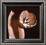Open Tulip