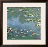 Waterlilies