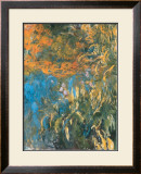 Buy Iris, 1914-1917 at AllPosters.com
