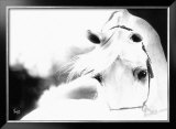 Buy Impressions at AllPosters.com
