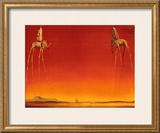 Buy The Elephants, c.1948 at AllPosters.com