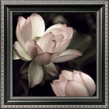 Buy The Lotus II at AllPosters.com