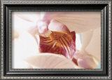 Buy Eye of the Storm at AllPosters.com