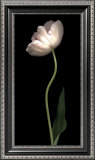 Buy Grace I at AllPosters.com