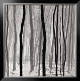 Buy Streaks at AllPosters.com