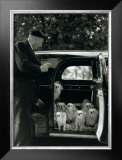 Les Chien du Marquis de Cuevas, Bois de Boulogne Framed Art Print