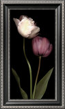 Buy Grace III at AllPosters.com