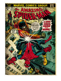Marvel Comics Retro: The Amazing Spider-Man Comic Book Cover #123, Luke Cage - Hero for Hire (aged)