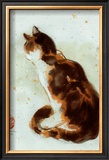 Dehong's Cat