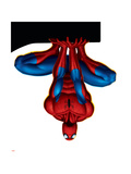 Spider-Man Premium Poster