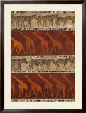 Zebras and Giraffes