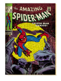 Marvel Comics Retro: The Amazing Spider-Man Comic Book Cover #70, Wanted! (aged)