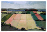 Landscape VI