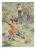 The Apple Orchard