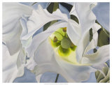 Lisianthus