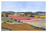 Landscape I