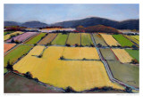 Landscape V