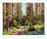Buy Sunny Forest Road at AllPosters.com