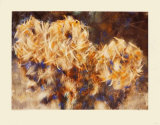 Buy Three Chrysanthemums in a Vase at AllPosters.com