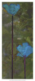 Teal Poppies III