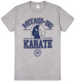 The Karate Kid - Miyagi-do Karate