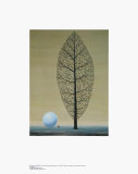 Buy The Search for the Absolute at AllPosters.com