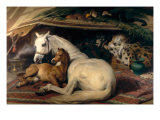 Buy The Arab Tent, 1866 at AllPosters.com