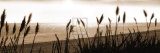 Setting Sun III