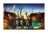Swans Reflecting Elephants, c.1937