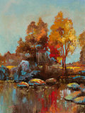 Buy Silent Colours IV at AllPosters.com