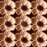 Buy Poppyfield at AllPosters.com