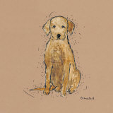 Doggy Tales VI