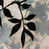 Buy Bianco Visione II at AllPosters.com