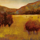 Buy Colour of Fall III at AllPosters.com