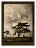 Tanzanian Landscape