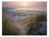 Buy Budle, Misty Sunset at AllPosters.com
