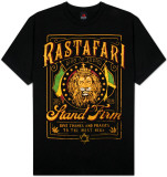 Buy Rastafari - Rasta Lion Frame at AllPosters.com