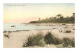 Cove at West Chop, Mass.